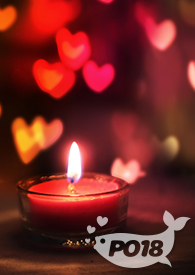 小洋楼和高层楼的区别